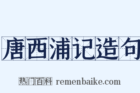 唐西浦记造句是什么意思的图片